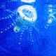 Illustration for article titled AquaJelly and AirJelly Robot Jellyfish At Home In the Water or the Sky